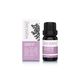 Lavender Bud Essential Oil