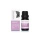 Patchouli Leaf Essential Oil